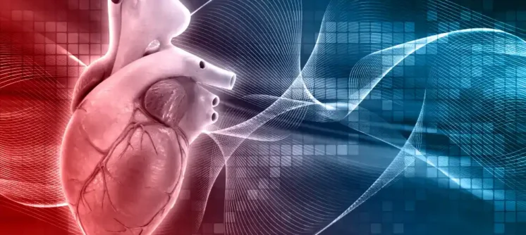 علاج اضطرابات نظم القلب طبيب كهرباء قلب