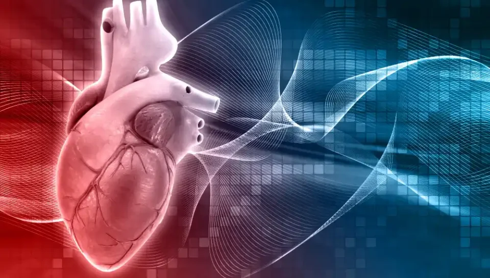 علاج اضطرابات نظم القلب طبيب كهرباء قلب